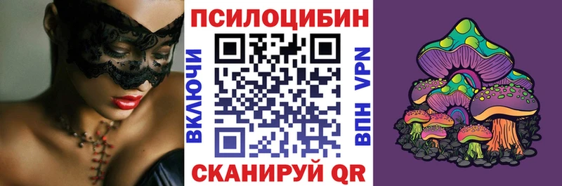 Псилоцибиновые грибы Psilocybe  Купить  Богородск 